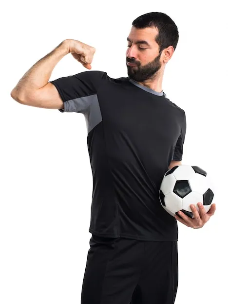 半岛体育 应用界面